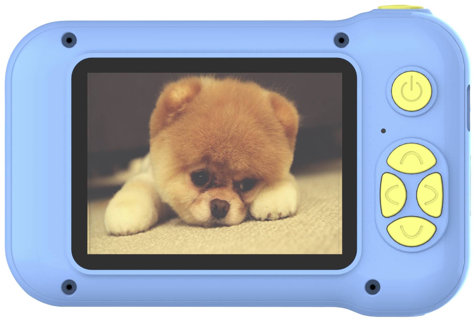 Ein kleines, flauschiges Hundewelpe liegt mit traurigem Ausdruck auf einer Oberfläche. Im Vordergrund, ein blaues Spielzeugkamera-Gehäuse.