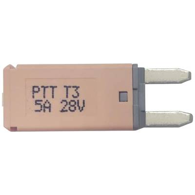 Ein rechteckiger, rosafarbener Stecker mit der Aufschrift 'PTT T3 5A 28V' in schwarzer Schrift auf der Oberfläche.