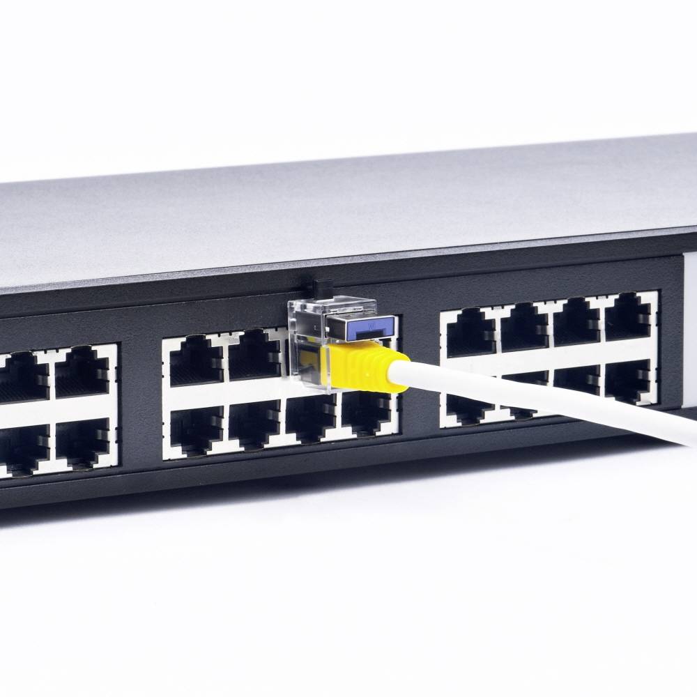 'Ein Netzwerkkabel ist an einen Netzwerk-Switch mit mehreren Ports angeschlossen.'