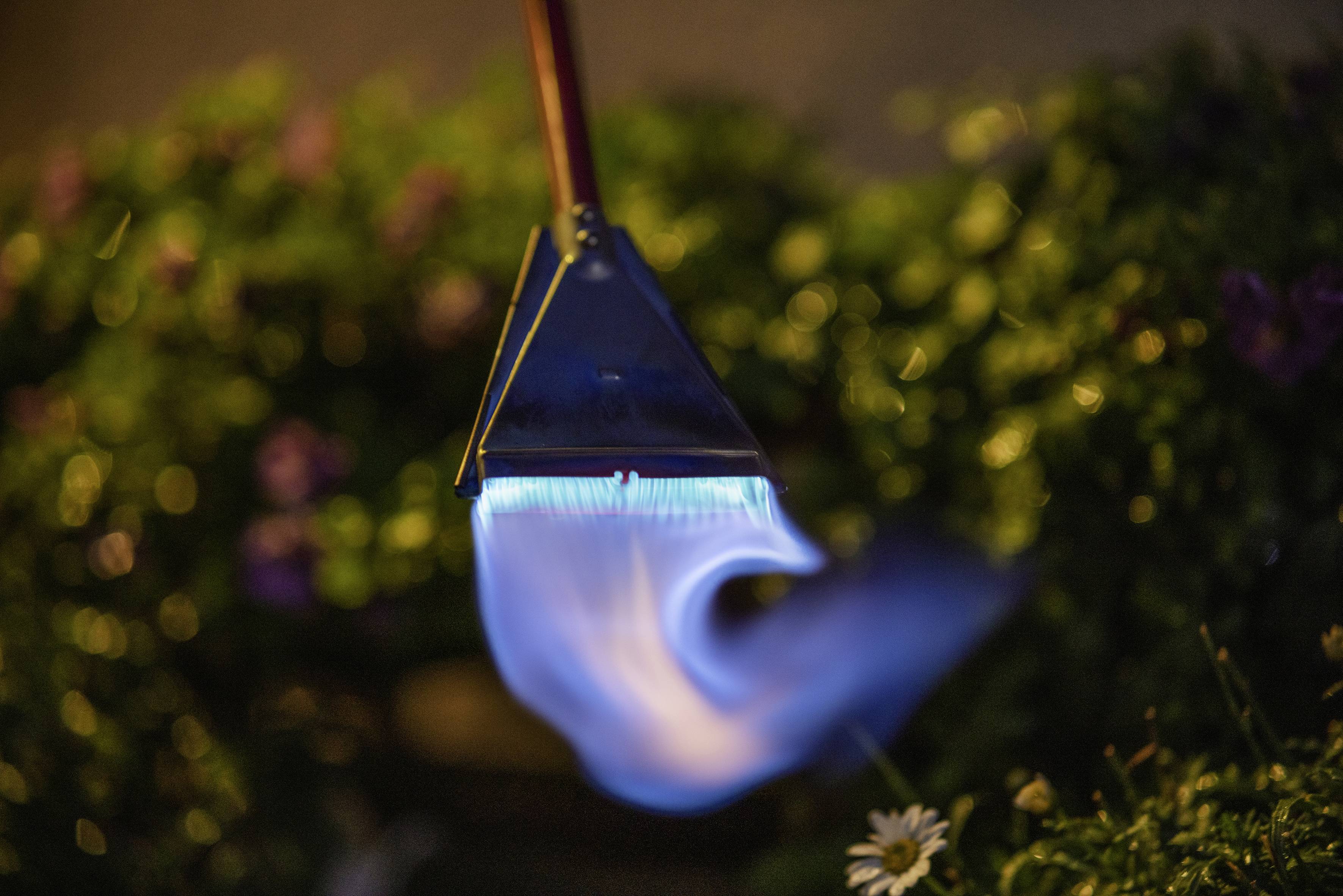 Ein Flammenwerfer erzeugt eine blaue Flamme über einer grünen Wiese, die im Hintergrund unscharf ist.