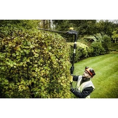 Person mit Schutzkleidung schneidet eine hohe Hecke in einem Garten mit einer elektrischen Heckenschere auf einer Teleskopstange.