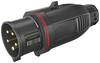 Walther Werke FW230506CC CEE Stecker 32 A 5polig 200 V, 415 V 1 St.