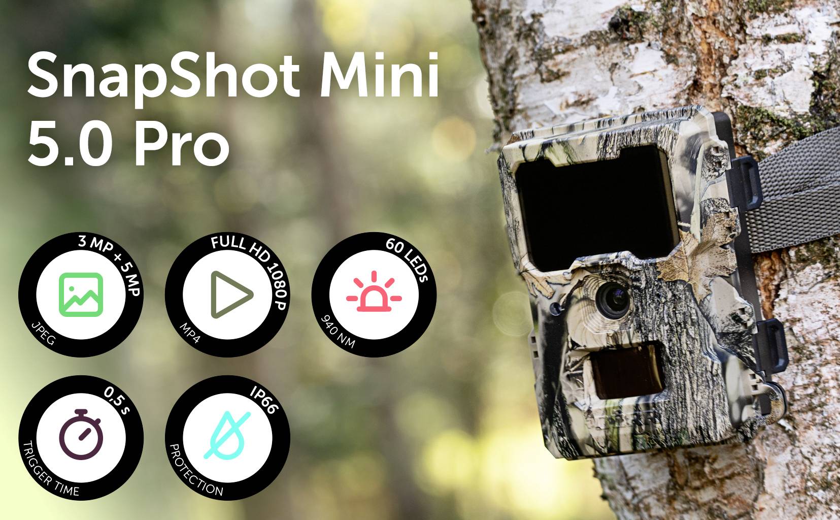 DÖRR SnapShot Mini 5.0 Pro Wildkamera 5 Megapixel Black LEDs, Tonaufzeichnung, Zeitrafferfunktion Camouflage-27