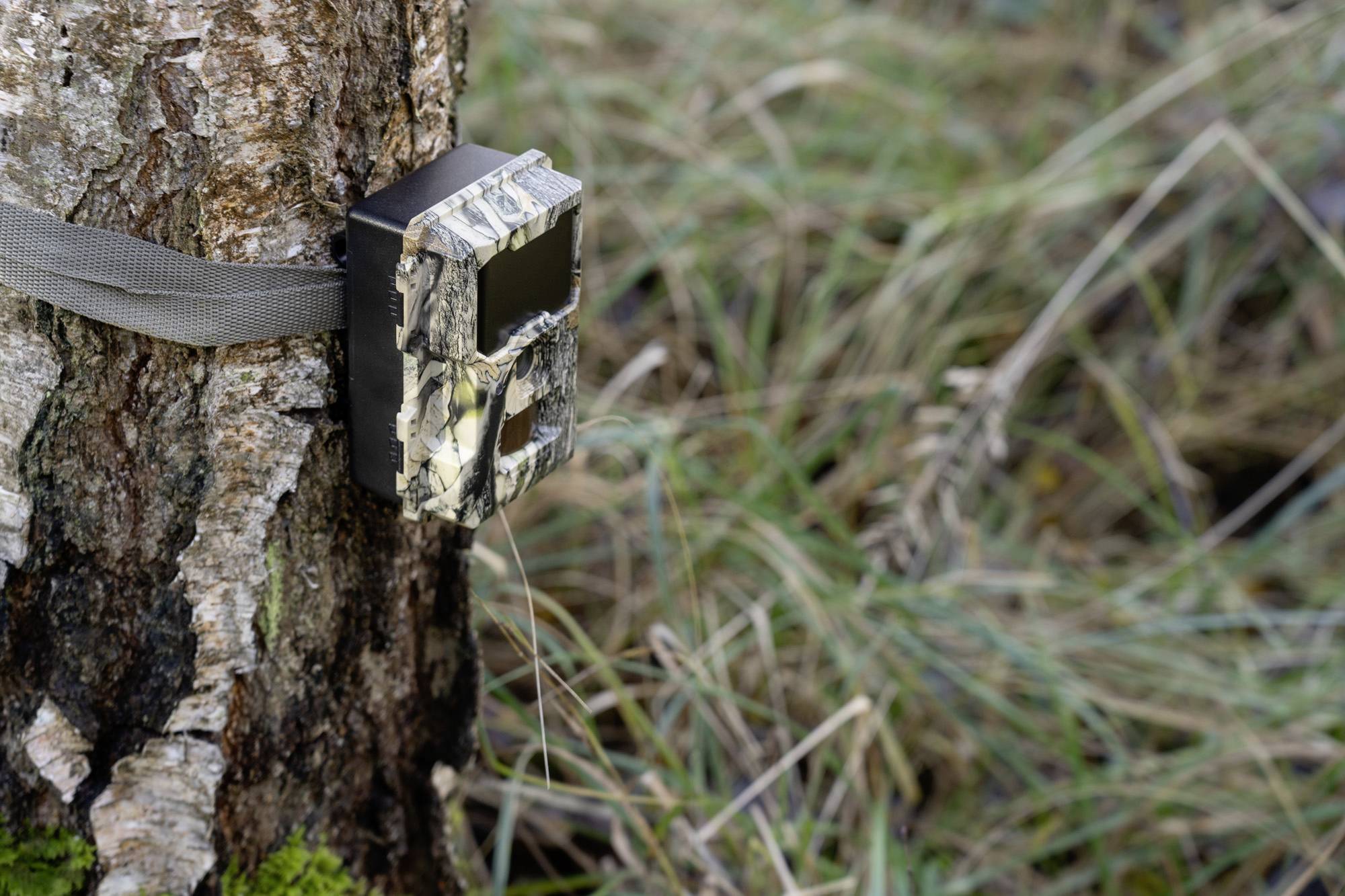 DÖRR SnapShot Mini 5.0 Pro Wildkamera 5 Megapixel Black LEDs, Tonaufzeichnung, Zeitrafferfunktion Camouflage-16