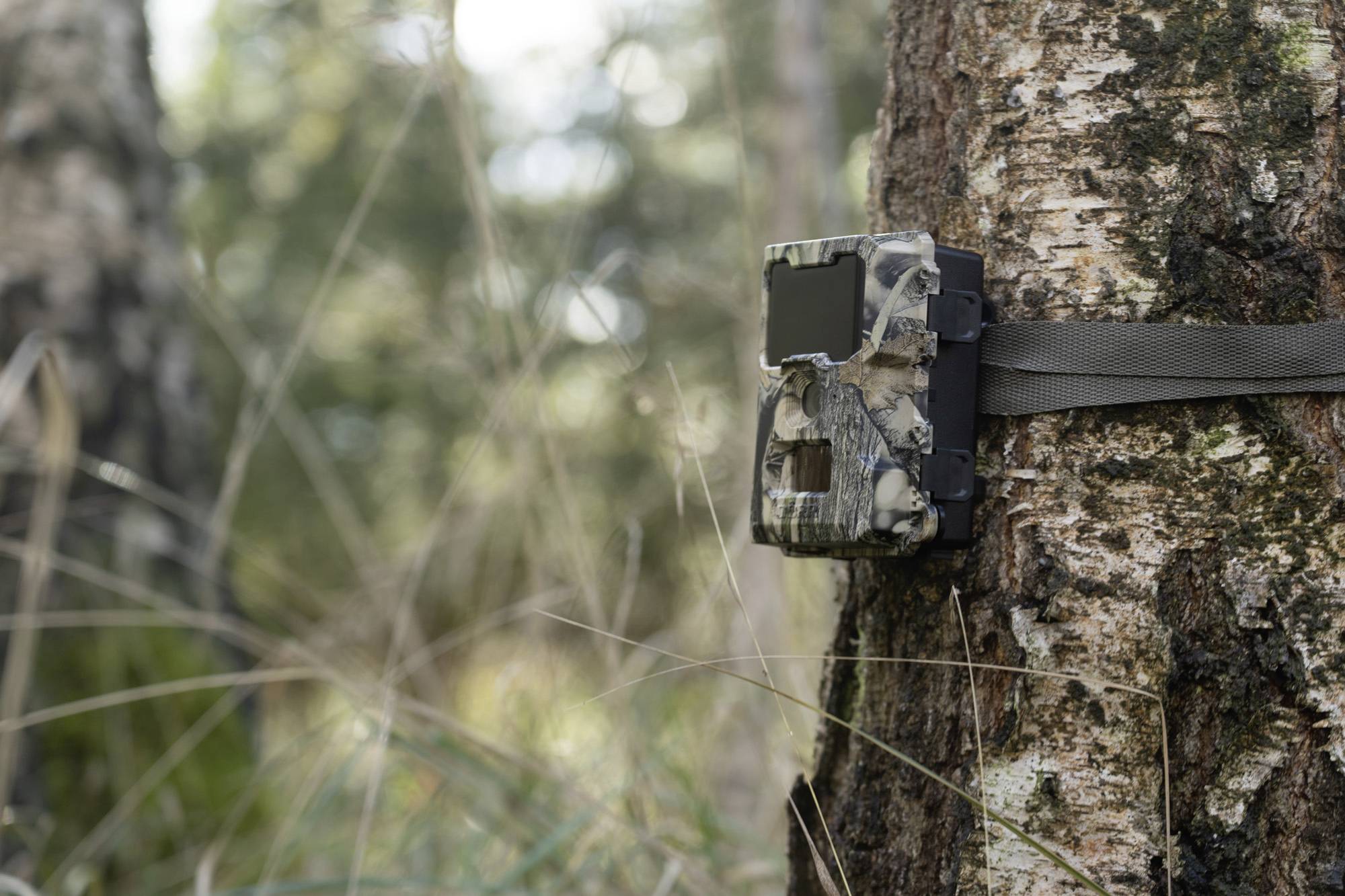 DÖRR SnapShot Mini 5.0 Pro Wildkamera 5 Megapixel Black LEDs, Tonaufzeichnung, Zeitrafferfunktion Camouflage-17