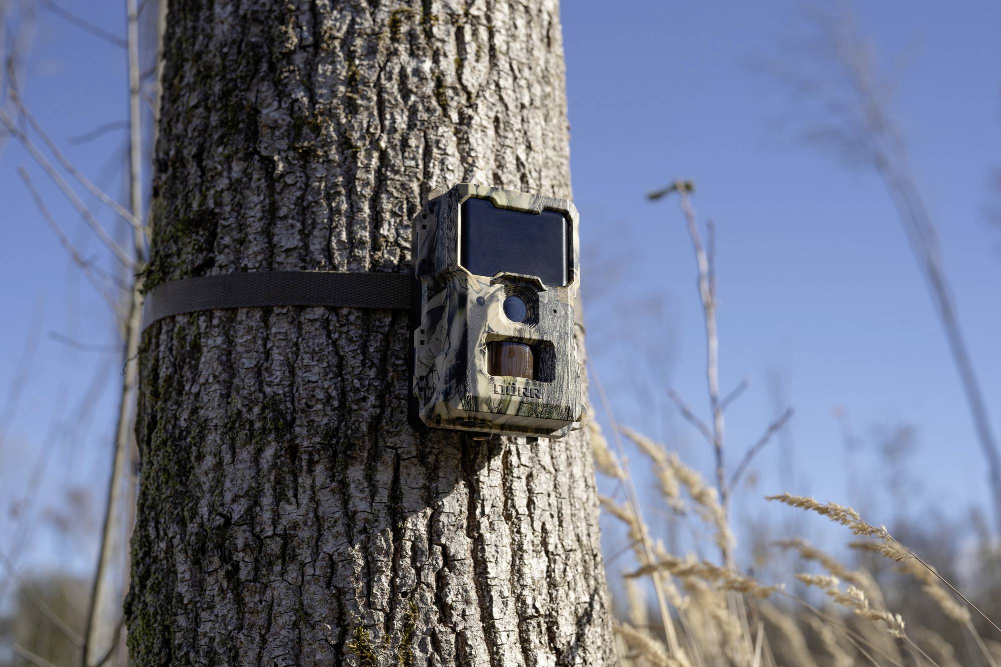 DÖRR SnapShot Mini 5.0 Pro Wildkamera 5 Megapixel Black LEDs, Tonaufzeichnung, Zeitrafferfunktion Camouflage-19