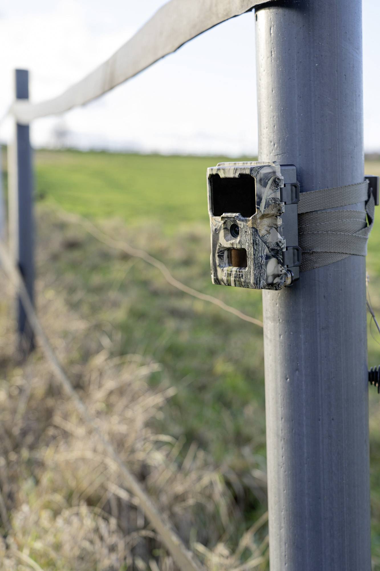 DÖRR SnapShot Mini 5.0 Pro Wildkamera 5 Megapixel Black LEDs, Tonaufzeichnung, Zeitrafferfunktion Camouflage-20