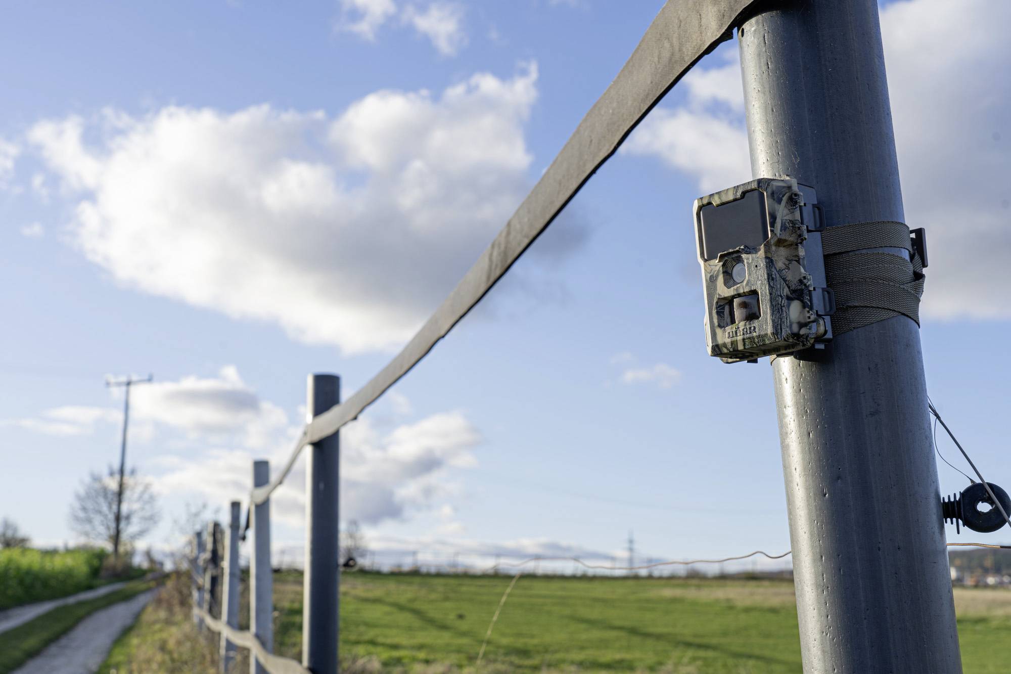 DÖRR SnapShot Mini 5.0 Pro Wildkamera 5 Megapixel Black LEDs, Tonaufzeichnung, Zeitrafferfunktion Camouflage-21