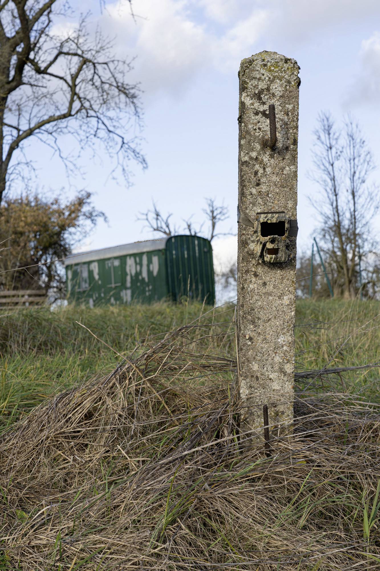 DÖRR SnapShot Mini 5.0 Pro Wildkamera 5 Megapixel Black LEDs, Tonaufzeichnung, Zeitrafferfunktion Camouflage-22