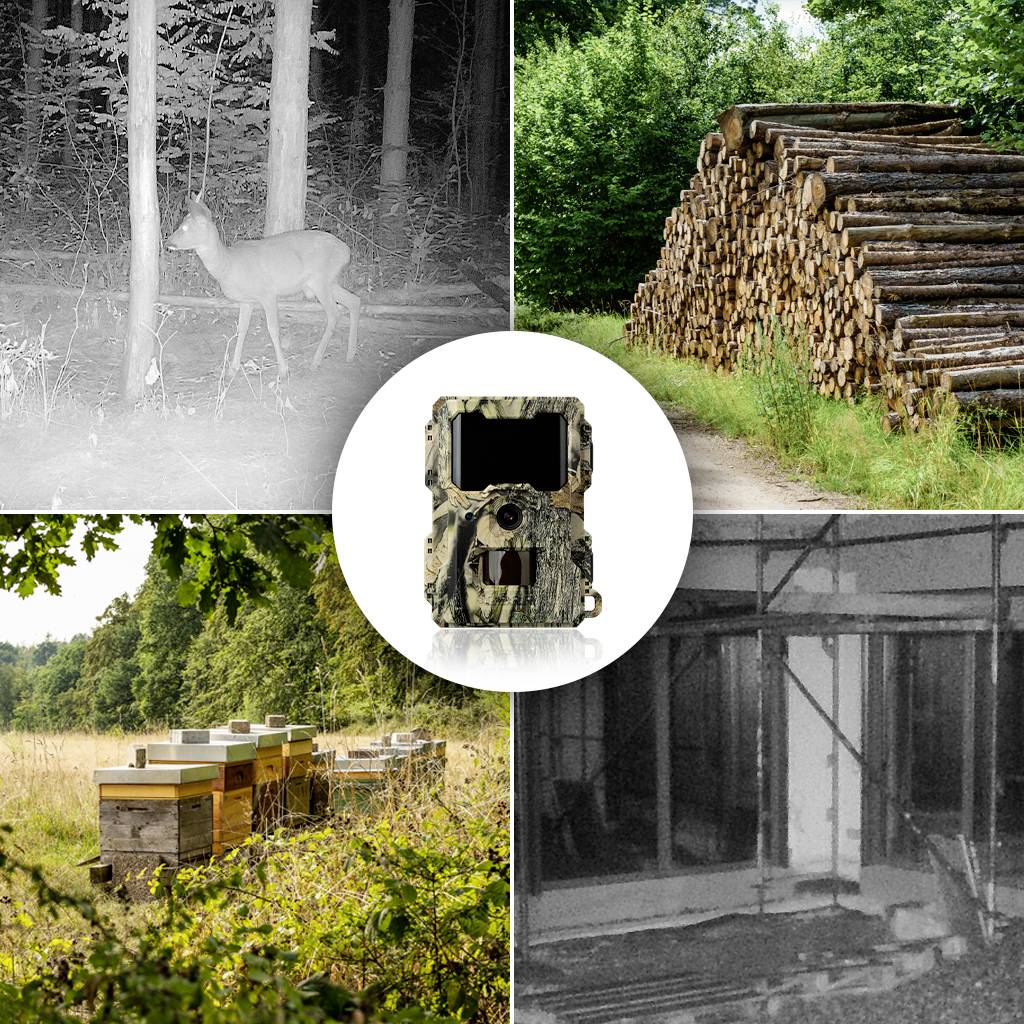 DÖRR SnapShot Mini 5.0 Pro Wildkamera 5 Megapixel Black LEDs, Tonaufzeichnung, Zeitrafferfunktion Camouflage-23
