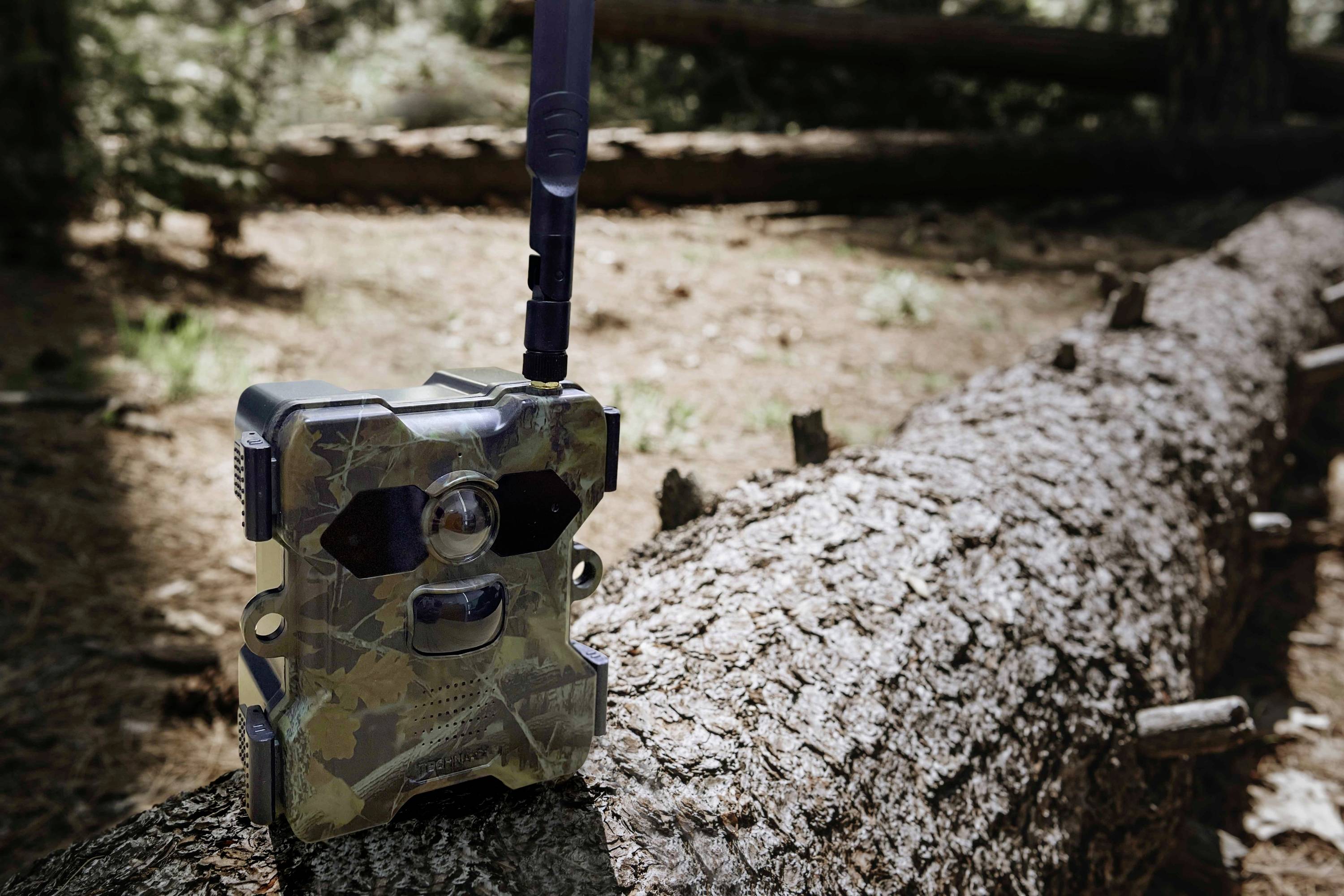 Ein getarntes Überwachungsgerät steht auf einem querliegenden Baumstamm im Wald. Es ist mit einer Antenne für drahtlose Kommunikation ausgestattet.