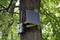 Überwachungskamera mit Solarpanel an einem Baum befestigt, umgeben von grünen Blättern, für Waldüberwachung oder Forschung.