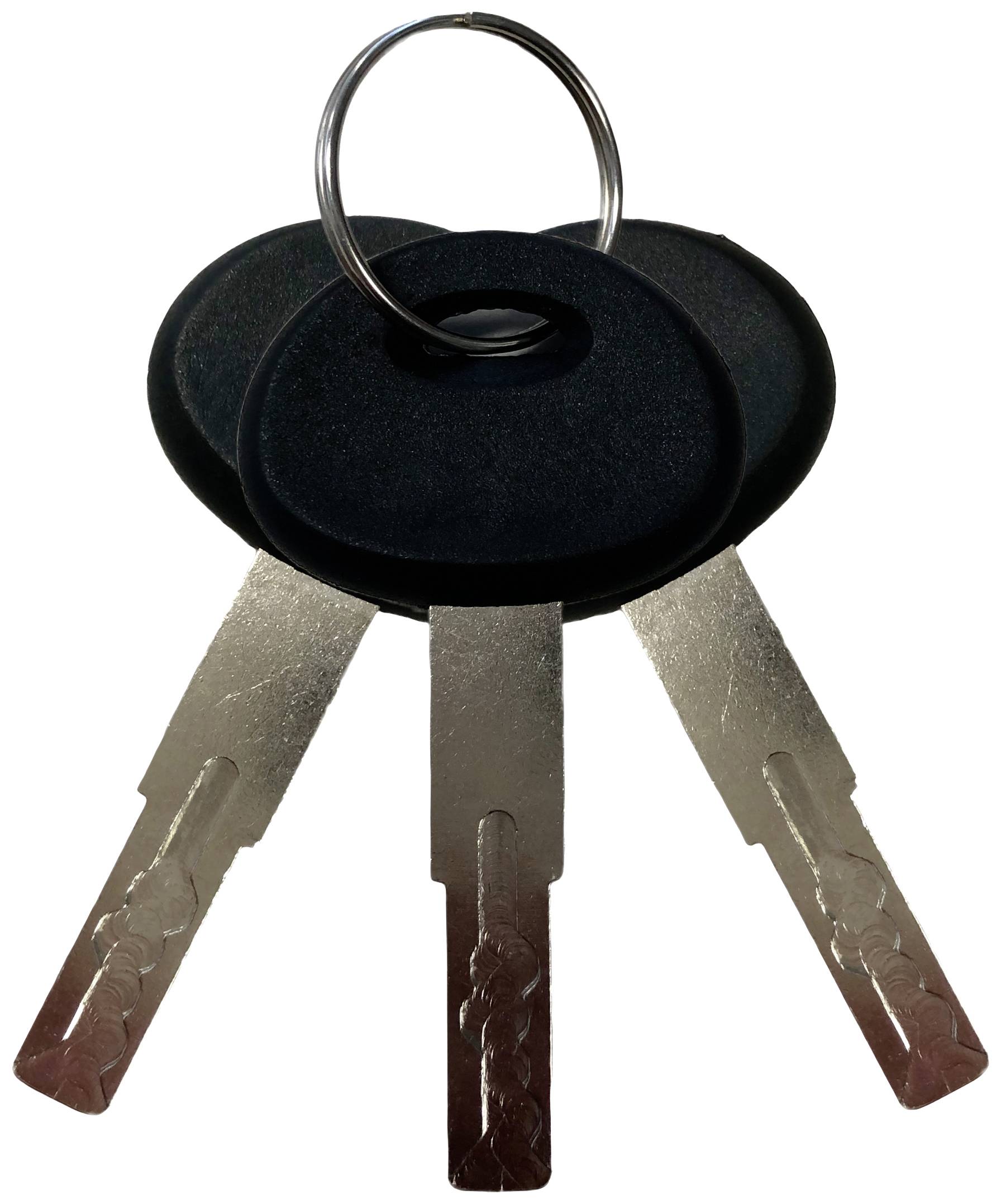 Drei silberne Schlüssel an einem runden Schlüsselring, vor weißem Hintergrund.