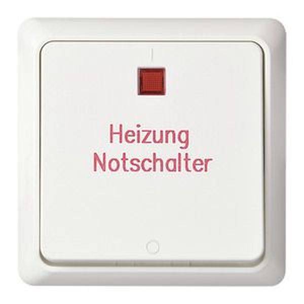 ELSO 251224 ELSO Heizungsnotschalter 251224 2p. bel. 16A RENOVIERUNG rw Heizungs-Notschalter Renovierung  1 St.