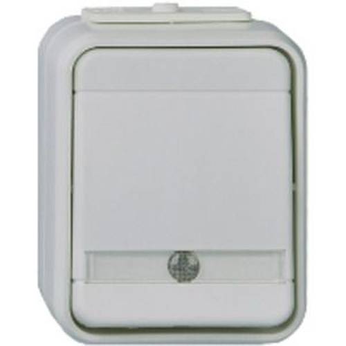 ELSO 441649 ELSO Kontrollwechselschalter 441649 10A AquaTop licht/basaltgrau Grau 1 St.