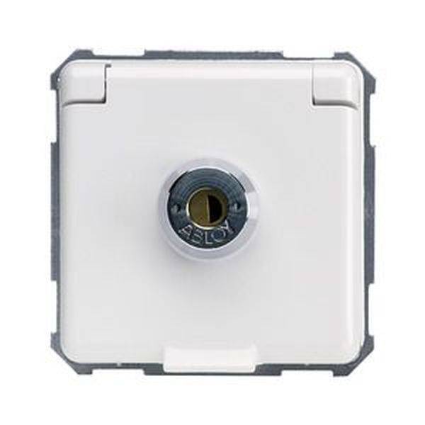 ELSO 225064 ELSO Steckdose 225064 16A verschiedene Schliessung rw 1 St.