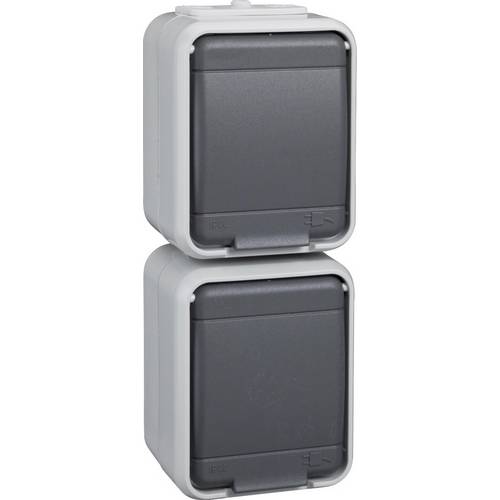 ELSO ELG445419 ELSO Steckdose ELG445419 2f. 16A senkr. licht/basaltgr. Mehrfarbig 1 St.