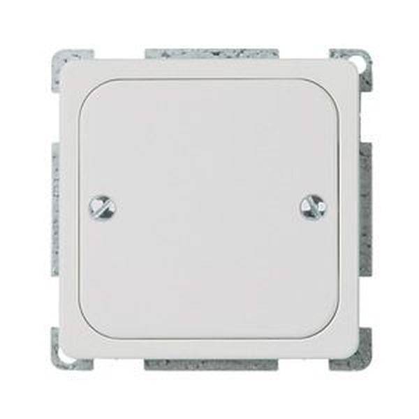 ELSO 503054 ELSO Blindabdeckung 503054 geschraubt 1f. RENOVIERUNG rw 1 St.