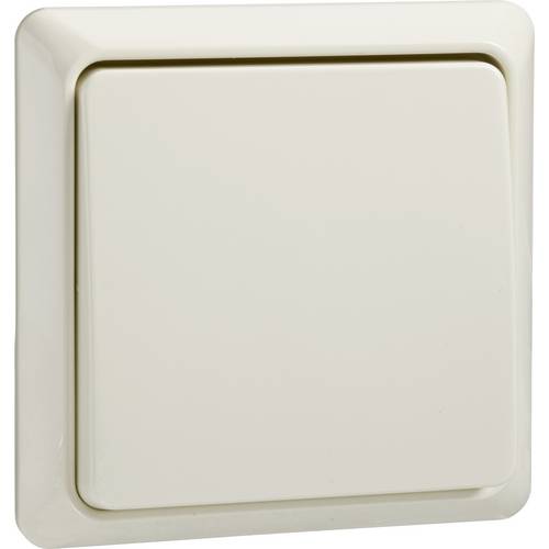 ELSO 512100 ELSO Taster 512100 10A komplett RENOVIERUNG pw 1 St.