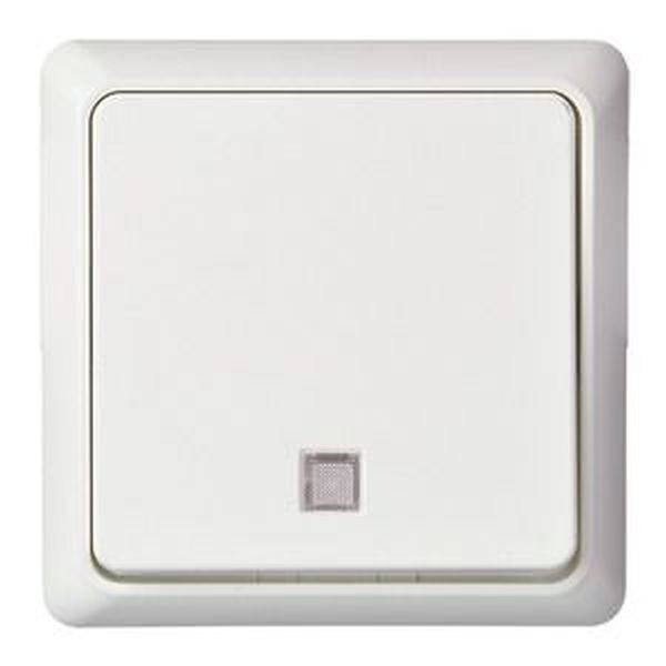 ELSO 242134 ELSO UP-Taster 242134 beleuchtet 10A RENOVIERUNG rw 1 St.