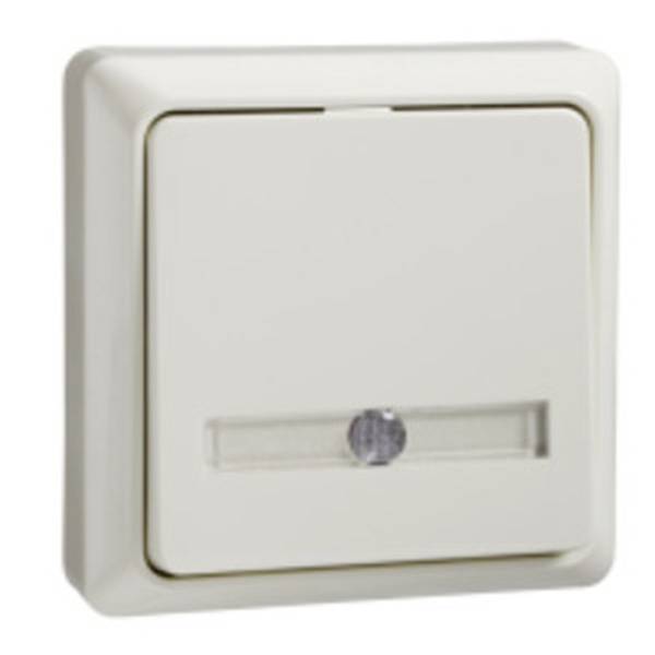 ELSO 506210 ELSO Taster 506210 42V/1A AP bel. RENOVIERUNG pw 1 St.