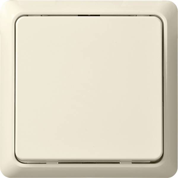 ELSO 506200 ELSO Taster 506200 42V/1A Aufputz RENOVIERUNG pw Drucktaster Renovierung Mehrfarbig 1 St.