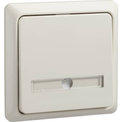 ELSO 506320 ELSO Taster 506320 42V/1A AP flach RENOVIERUNG pw 1 St.