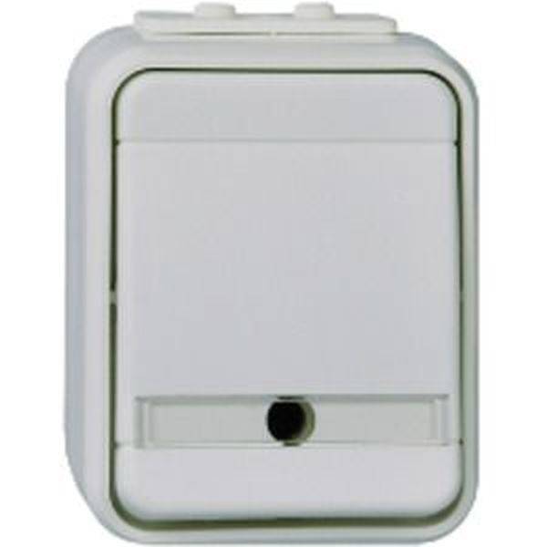 ELSO 441639 ELSO Universalschalter 441639 bel. 10A licht/basaltgrau 1 St.