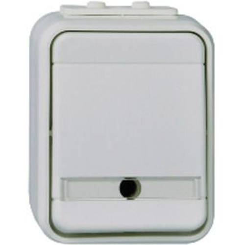 ELSO 441639 ELSO Universalschalter 441639 bel. 10A licht/basaltgrau 1 St.