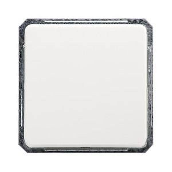 ELSO 201614 ELSO Wechselschalter 201614 2polig 16A reinweiß 1 St.