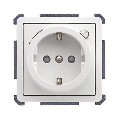 ELSO 205214 ELSO Steckdoseneinsatz 205214 und FI 16A rw 1 St.