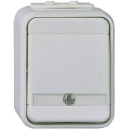 ELSO ELG441619 ELSO Wechselschalter ELG441619 bel. 10A licht/basaltgrau Mehrfarbig 1 St.