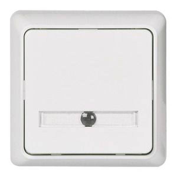 ELSO ELG506244 ELSO Taster ELG506244 42V/1A AP bel. RENOVIERUNG pw 1 St.