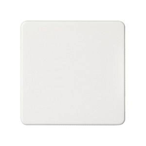 ELSO 233604 ELSO Wippe 233604 Universal-Kreuzschalter/Taster rw Wippe  Mehrfarbig 1 St.