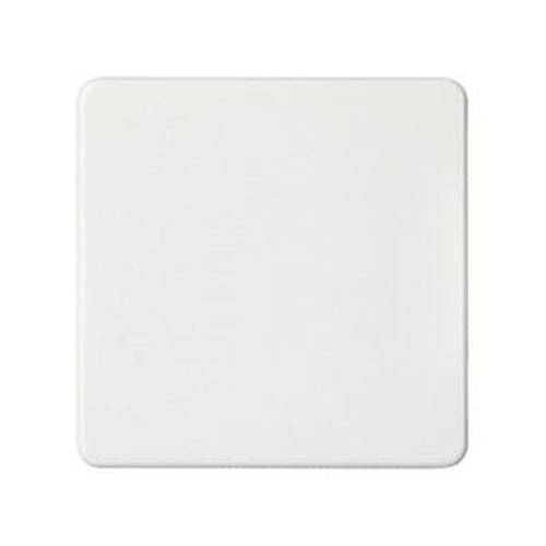 ELSO 233604 ELSO Wippe 233604 Universal-Kreuzschalter/Taster rw Weiß 1 St.