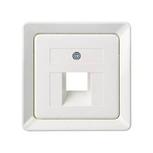 ELSO 503654 ELSO Zentralplatte 503654 für 1xRJ45 reinweiß 1 St.