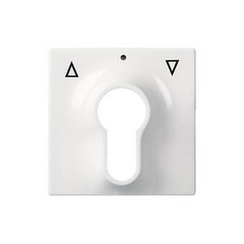 ELSO 363034 ELSO Zentralplatte 363034 Schlüsselschalter JOY reinweiß 1 St.