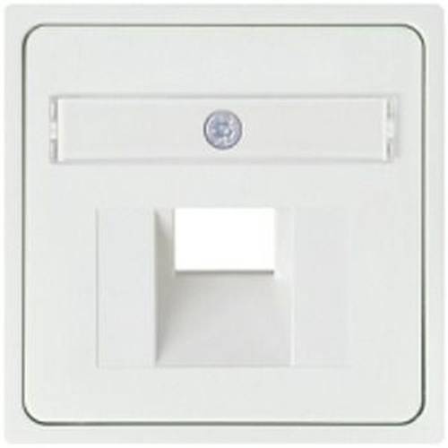 ELSO 366514 ELSO Zentralplatte 366514 für 2xRJ45 JOY reinweiß Mehrfarbig 1 St.