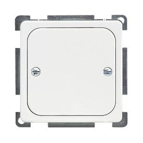 ELSO 206904 ELSO Zentralplatte 206904 geschraubt reinweiß 1 St.