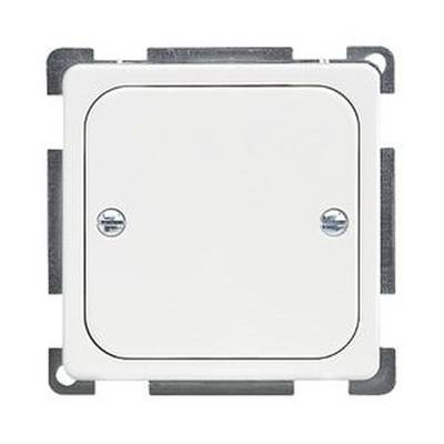 Weißer Lichtschalter an einem quadratischen Metallsockel, dessen Vorderseite mit zwei Schrauben befestigt ist.