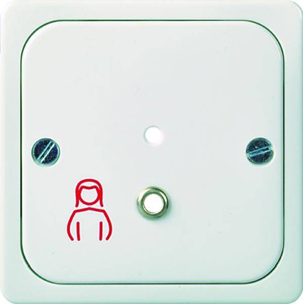 ELSO 735830 ELSO Zentralplatte 735830 Zugtaster (MEDIOPT CARE) pw 1 St.