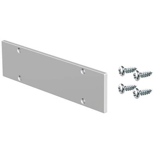 EVN APSLEAP Endabschlussplatte APSLEAP 1 St.