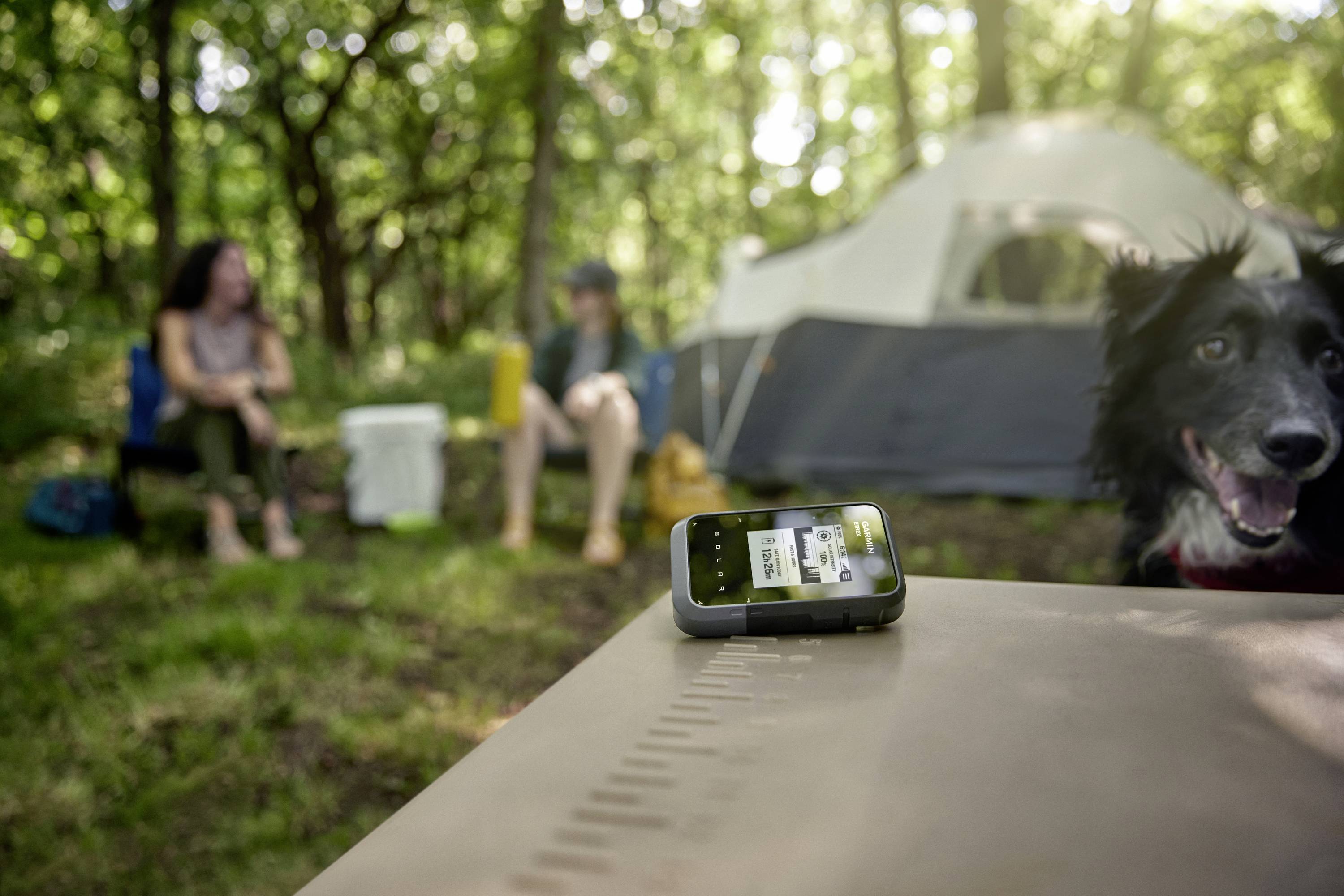 Zwei Personen sitzen in einem Waldcamp neben einem Zelt. Ein Hund schaut in die Kamera. Ein Smartphone zeigt eine App auf einem Tisch.