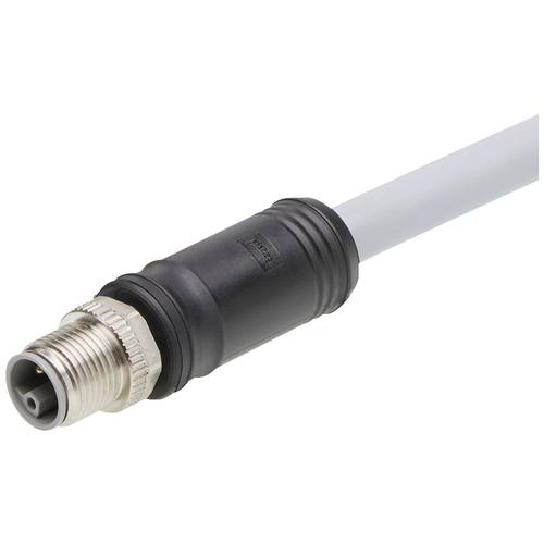 Molex 1205000214 Sensor-/Aktor-Steckverbinder, konfektioniert Stecker, gerade 1 m Polzahl Sensoren: 5 1 St. Bag