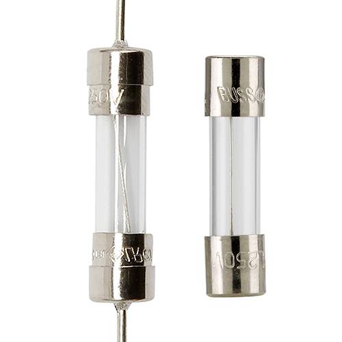 Zwei feine Glassicherungen mit silbernen Kappen, eine horizontal und eine vertikal. Spannung von 250V eingeprägt.