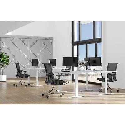 Helles Büro mit vier modernen Schreibtischen und schwarzen Bürostühlen. Große Fenster lassen viel Tageslicht herein. Links im Raum steht eine Pflanze.