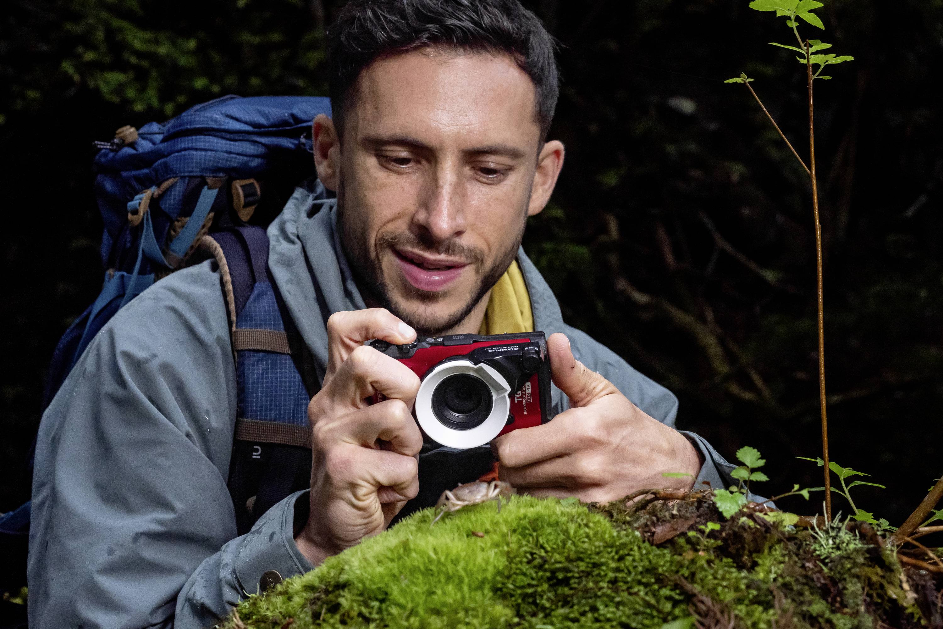 Ein Mann mit Rucksack fotografiert im Wald eine kleine Pflanze auf einem bemoosten Stein.
