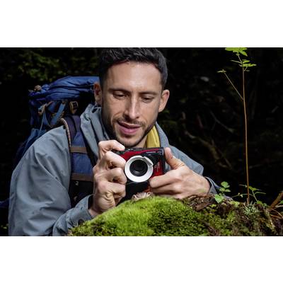 Ein Mann mit Rucksack fotografiert im Wald eine kleine Pflanze auf einem bemoosten Stein.