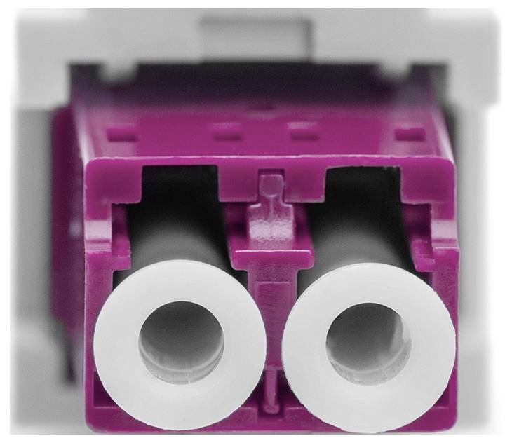 Ein lila-weißer Steckverbinder mit zwei runden Öffnungen, zentral platziert, zeigt die Vorderansicht auf einem elektrischen Gerät.