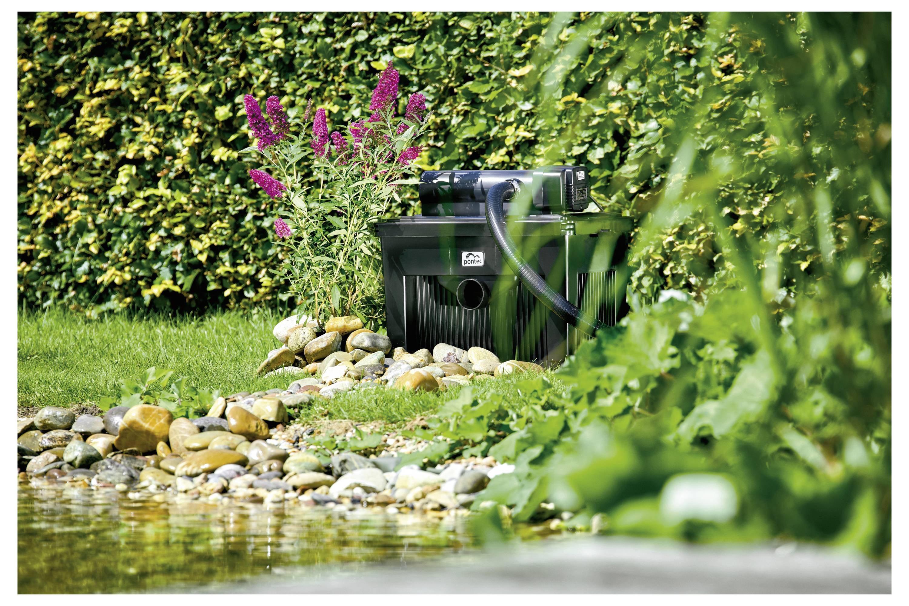 Ein Garten mit einem Teichfilter, umgeben von Steinen und lila Blumen. Üppiges Grün und ein Teich im Vordergrund schaffen eine friedvolle Atmosphäre.